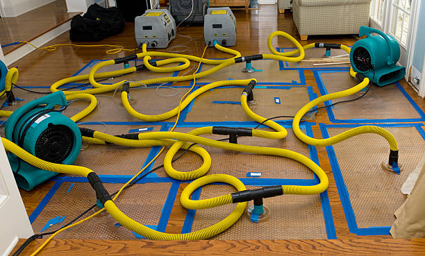 Professional Water Damage Repair technician working in Huron, OH
